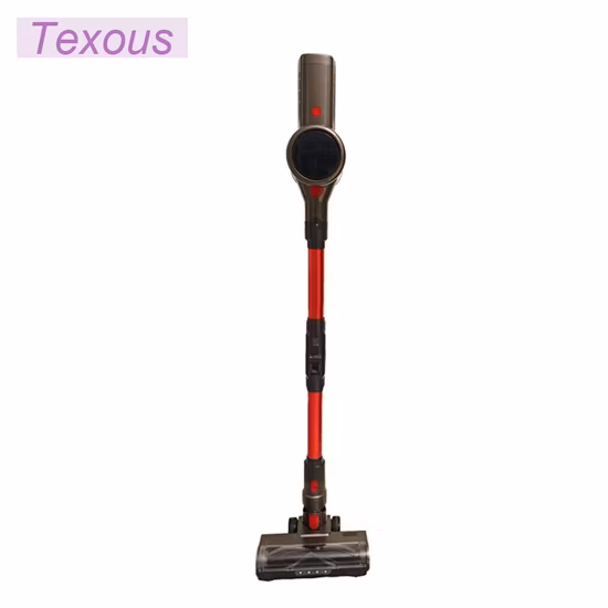 Multifunction Vacuum Cleaner for Pet Water Jet Lithium Battery with Wireless