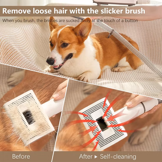 Aspirapolvere elettrico per toelettatura pettine per gatti di vendita calda per peli di animali domestici